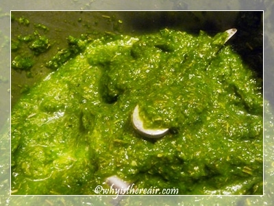 Spring Green Thai Green Curry Paste