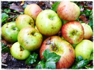 First Frost: Apple Sorbet with Calvados