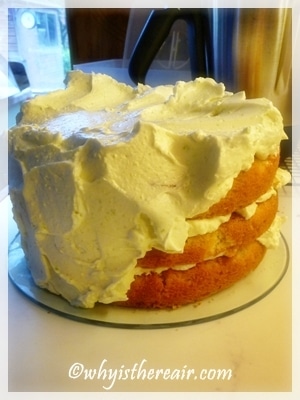 Have Your Cake and East it, Too: Thermomix Coconut Lime Cake