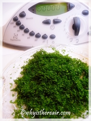 Curly or Flat? Grant Hawthorne’s Thermomix Chopped Curly Parsley