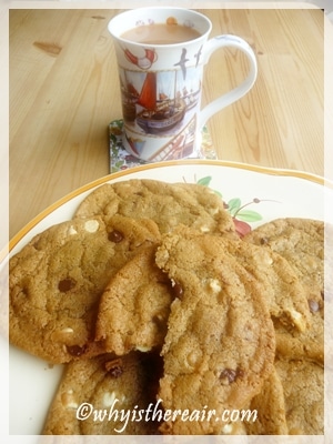 Monster Cookies for your Cookie Monsters: Madame Thermomix’s Chewy Chocolate Chip Cookies