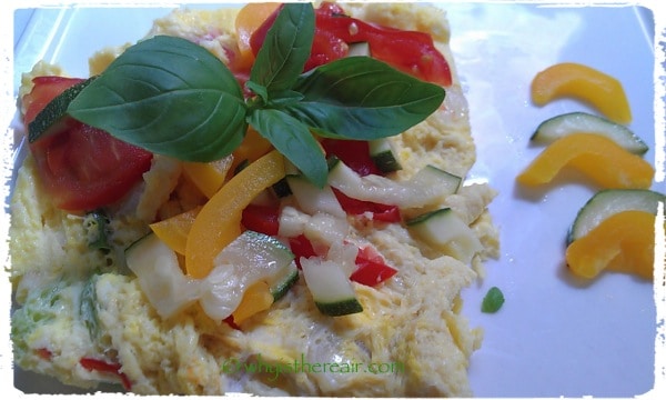 Fat-Free Varoma Meals No. 1: Steamed Omelette