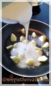 Pour your Thermomix pancake batter over the apple chunks in several small - or one huge! - apple pancake