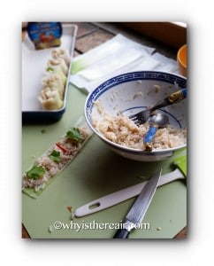 Make sure you cut your leek sheets into 1-inch / 2.5 cm strips to make bite-sized, easy to eat pieces!