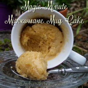 This Magic Minute Microwave Mug Cake is so fast and easy to make, it will be your guilty pleasure!