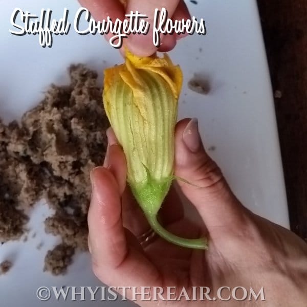 Stuffed Courgette Flowers