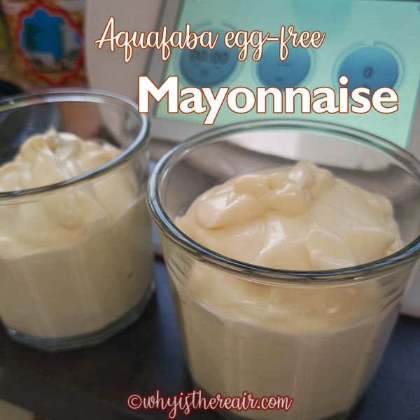 jars of aquafaba mayonnaise and Thermomix