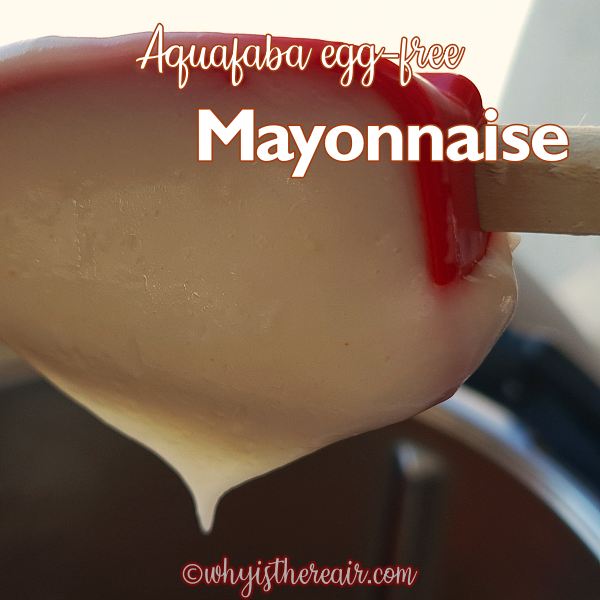 aquafaba mayonnaise