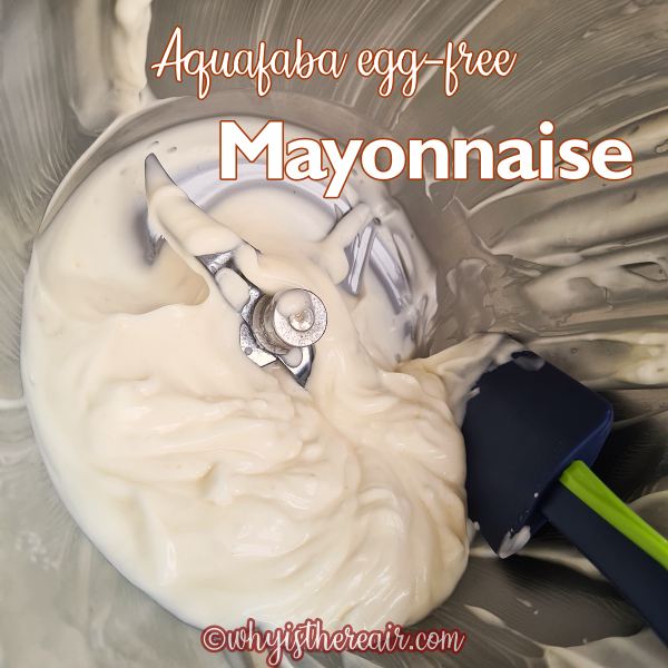 aquafaba mayonnaise in Thermomix bowl